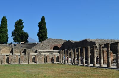 DSC_8324.JPG