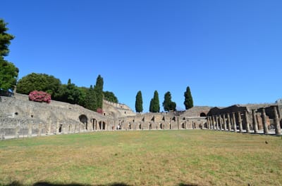 DSC_8326.JPG