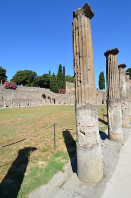 DSC_8328.JPG