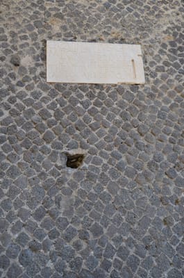 DSC_8335.JPG