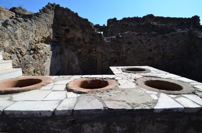 DSC_8336.JPG