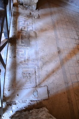 DSC_8347.JPG