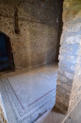 DSC_8348.JPG