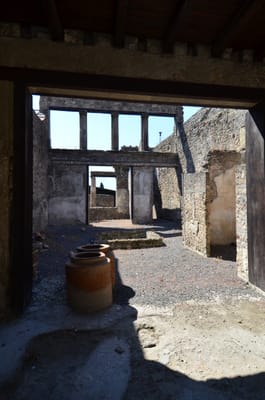 DSC_8355.JPG