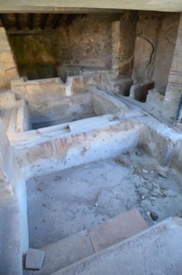 DSC_8358.JPG