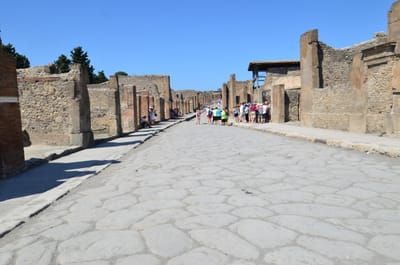 DSC_8366.JPG