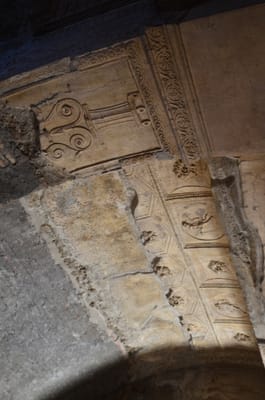 DSC_8372.JPG