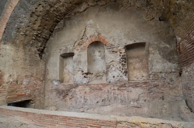 DSC_8377.JPG