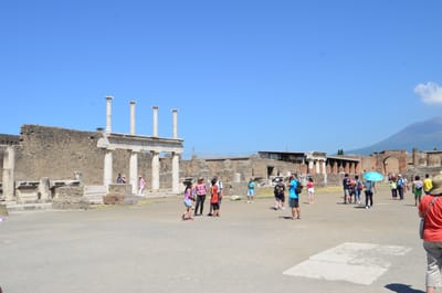 DSC_8382.JPG