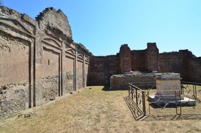 DSC_8388.JPG