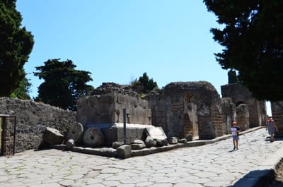 DSC_8399.JPG