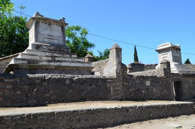 DSC_8401.JPG