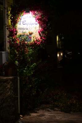 DSC_8450.JPG