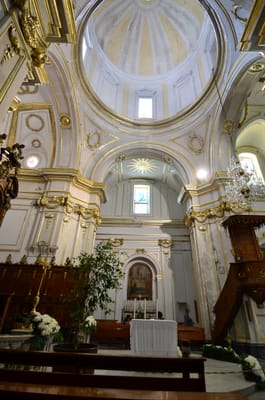 DSC_8464.JPG