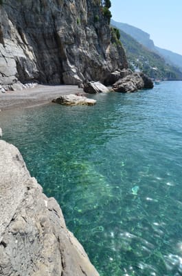 DSC_8478.JPG