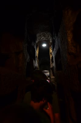 DSC_8592.JPG