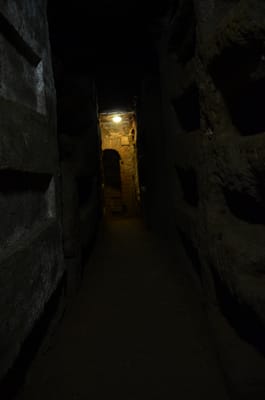 DSC_8595.JPG