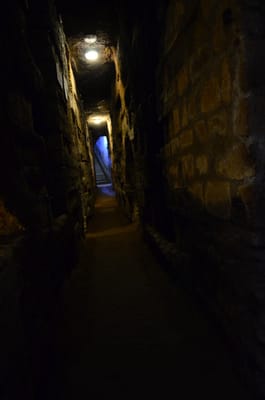 DSC_8598.JPG