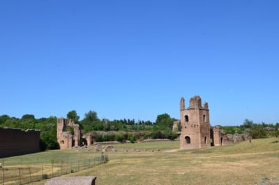 DSC_8610.JPG