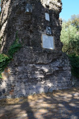 DSC_8619.JPG