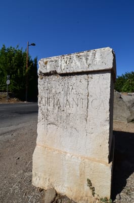 DSC_8626.JPG