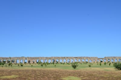 DSC_8632.JPG