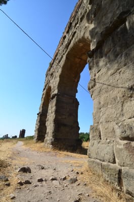 DSC_8640.JPG