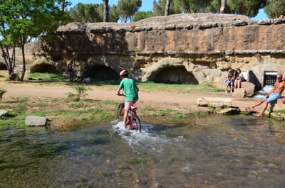 DSC_8648.JPG