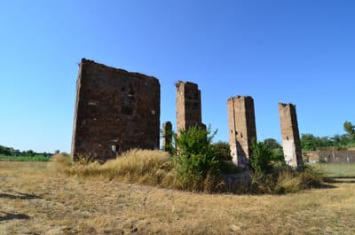 DSC_8671.JPG