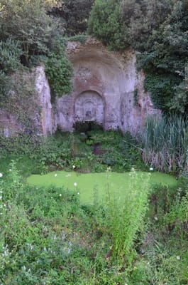 DSC_8675.JPG