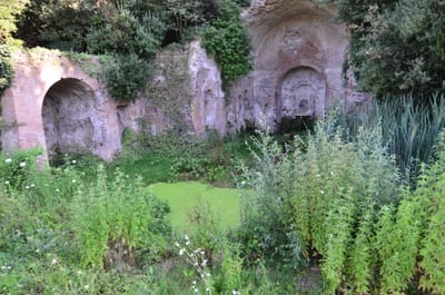 DSC_8677.JPG