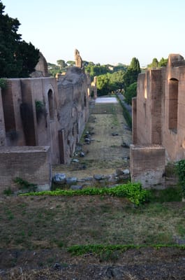 DSC_8708.JPG
