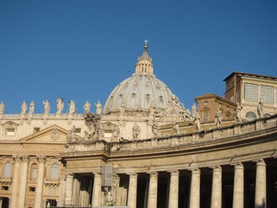 IMG_8784.JPG
