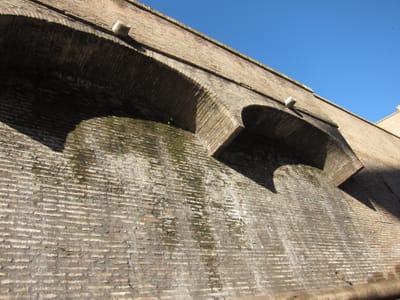 IMG_8809.JPG