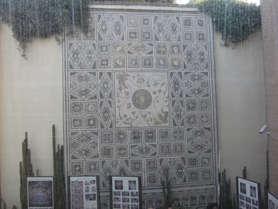 IMG_8811.JPG