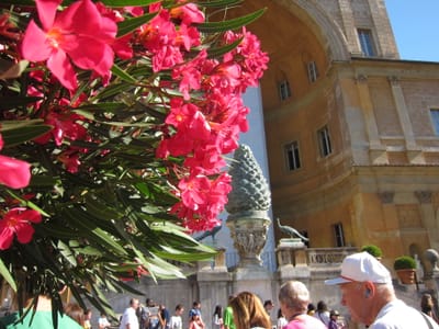 IMG_8819.JPG