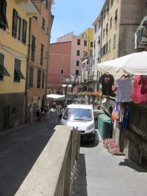 IMG_8943.JPG