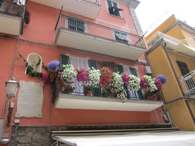 IMG_8945.JPG
