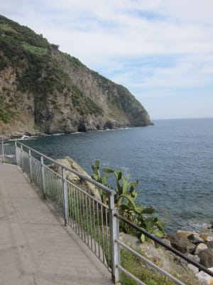 IMG_8947.JPG
