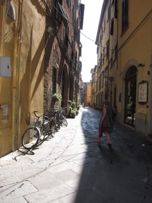 IMG_8966.JPG