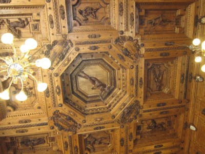 IMG_8980.JPG