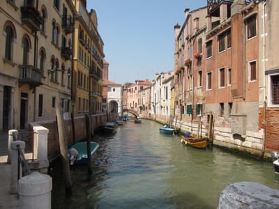 IMG_8990.JPG