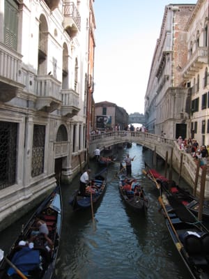 IMG_8993.JPG