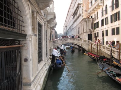 IMG_8994.JPG