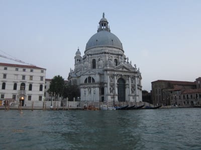 IMG_8998.JPG