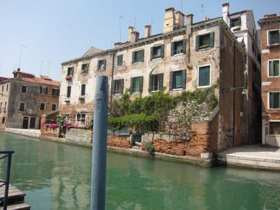 IMG_9000.JPG
