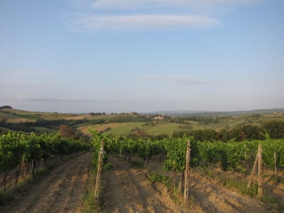 IMG_9009.JPG