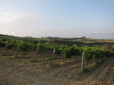 IMG_9010.JPG