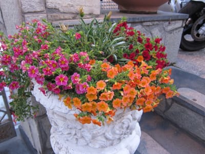 IMG_9080.JPG