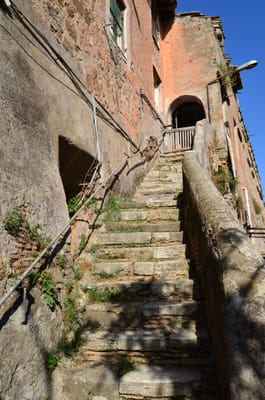 DSC_8686.JPG